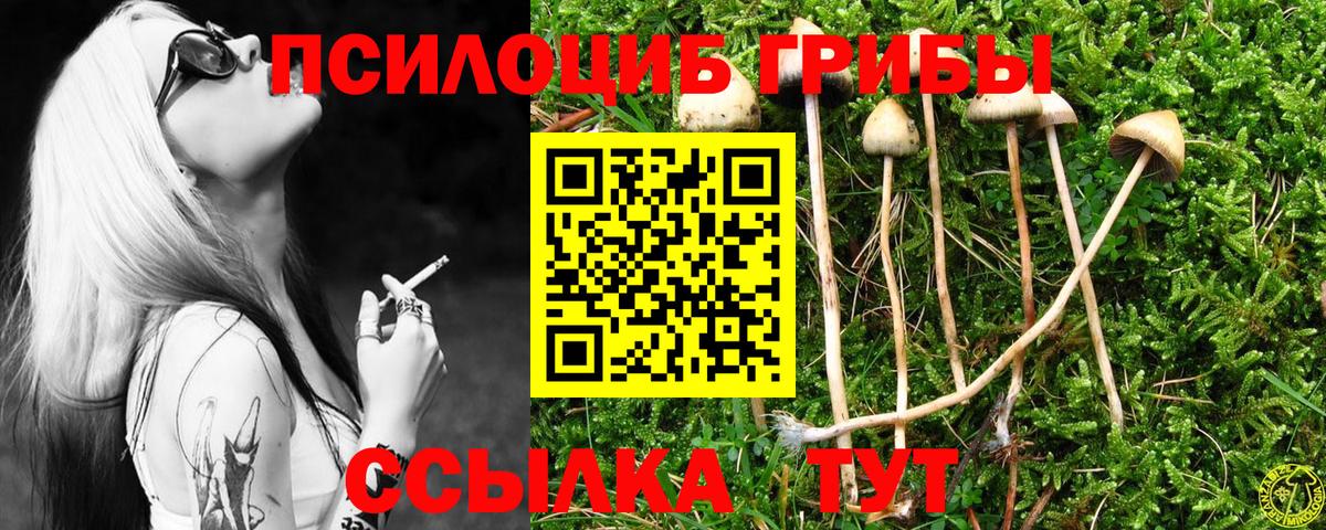 Галлюциногенные грибы Magic Shrooms Куйбышев