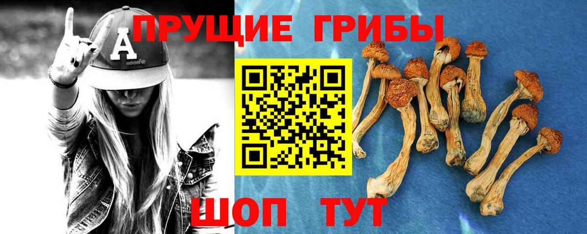 Галлюциногенные грибы GOLDEN TEACHER  Псилоцибиновые грибы Psilocybine cubensis  закладка  Вход с VPN  Куйбышев 